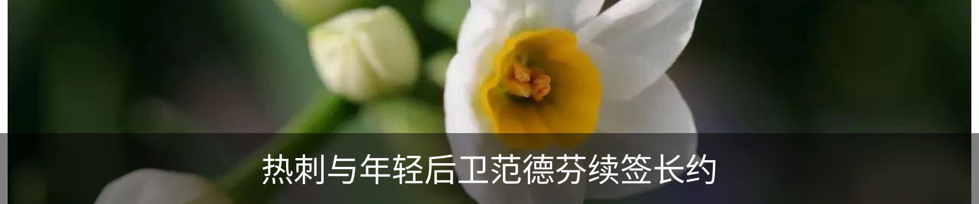 内页banner